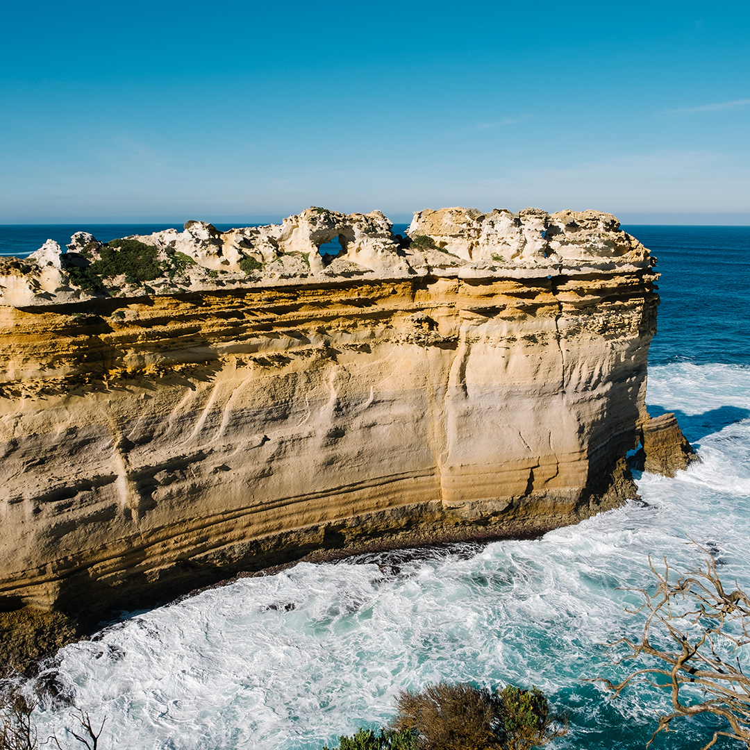 澳洲偏遠地區大學攻略|貼近大自然、生活成本低,專業選擇更多元!